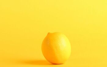 Motorhome “Lemon Law” Legislation Created
