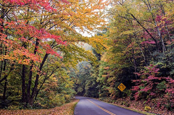 five fall color tour destinations you must see, digidreamgrafix Bigstock com